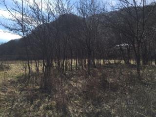  дом, 100 м², 17 соток