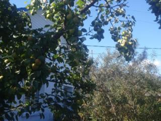 1-этажный дом, 80 м², 25 соток