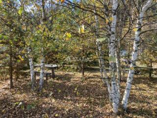 1-этажный дом, 74.2 м², 16.44 соток