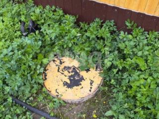  дом, 46.8 м², 11.82 соток