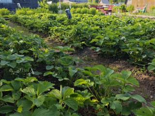  коттедж, 15 м², 6 соток