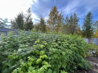  дом, 31 м², 10.11 соток