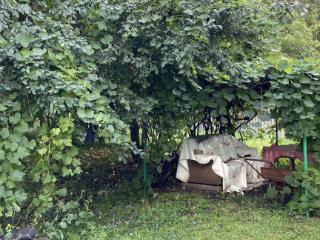  дом, 110 м², 24 сотки