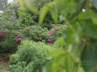 1-этажный дом, 90 м², 8 соток