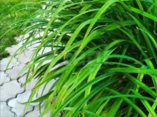 2-этажный дом, 94 м², 5.88 соток