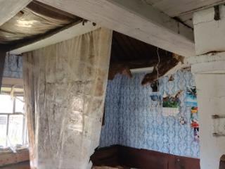 1-этажный дом, 30 м², 20 соток