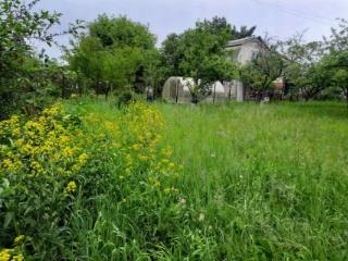 1-этажный дом, 40 м², 6 соток