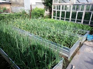  дом, 146.6 м², 5.11 соток