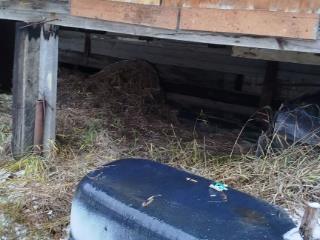  коттедж, 25 м², 2 сотки