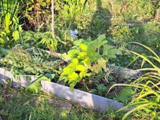  коттедж, 23 м², 5 соток