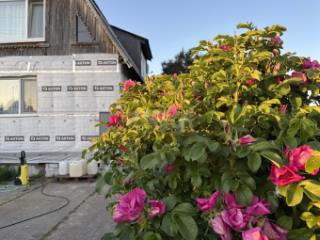 2-этажный дом, 120 м², 20 соток