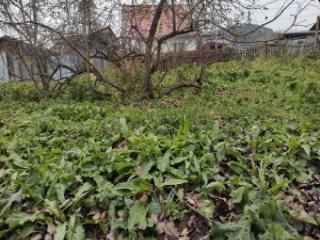 1-этажный дом, 39.8 м², 15 соток