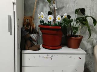 Студия, 18 м², 4/4 этаж