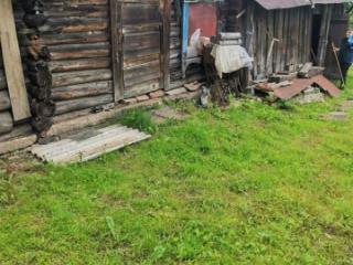 1-этажный дом, 54 м², 10 соток