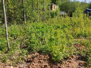 Продажа земли, 6 соток