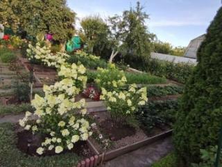 2-этажный дом, 50 м², 6.4 соток