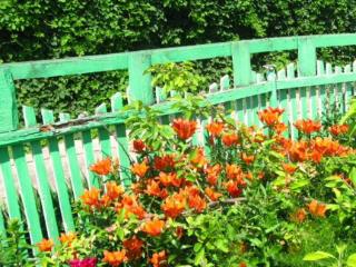  дом, 36.4 м², 15 соток