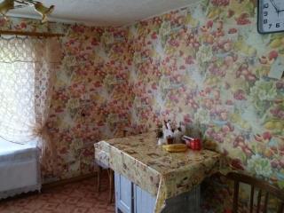  дом, 45 м², 15 соток