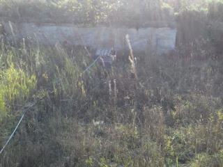  дом, 61.3 м², 49.3 соток