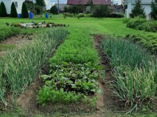 2-этажный дом, 70 м², 15 соток