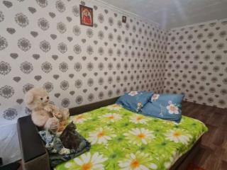  дом, 55.3 м², 6 соток