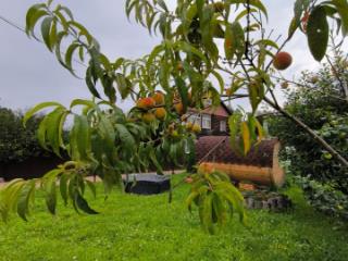 2-этажный дом, 154 м², 8 соток