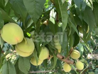 3-этажный дом, 303 м², 10 соток