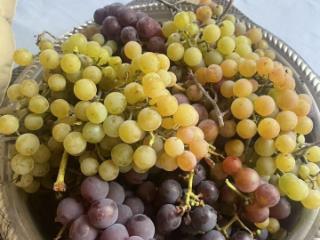 1-этажный дом, 23 м², 9 соток