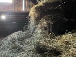 1-этажный дом, 59.3 м², 38.5 соток