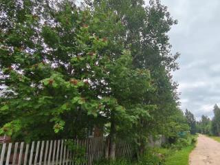  коттедж, 50 м², 10 соток