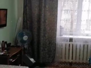 1-комн. квартира, 19.5 м², 3/5 этаж