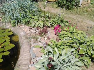  дом, 60 м², 50 соток