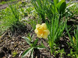 1-этажный дом, 51 м², 10 соток