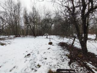 1-этажный дом, 51.6 м², 19 соток