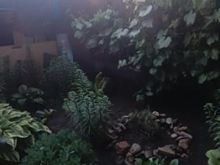 1-этажный дом, 72.9 м², 3.5 сотки