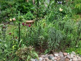 1-этажный дом, 56.4 м², 8.5 соток