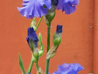 1-этажный дом, 56.4 м², 8.5 соток