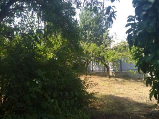 1-этажный дом, 19.8 м², 5.11 соток