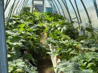  дом, 90 м², 10 соток