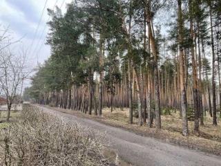 2-этажный коттедж, 183.5 м², 18 соток