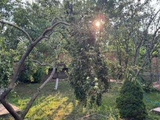  дом, 280 м², 8 соток