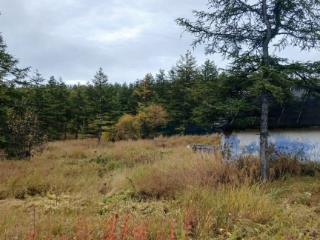  дом, 10 м², 22 сотки