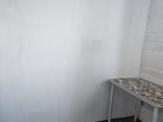 1-этажный дом, 57.2 м², 10 соток