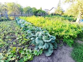 1-этажный дом, 74 м², 30 соток