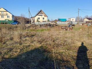 Купить земельный участок, 20 соток