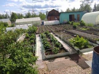 1-этажный дом, 24 м², 5.2 соток