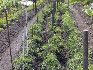  коттедж, 32 м², 18.9 соток