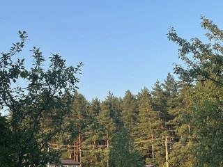 1-этажный дом, 23 м², 9 соток