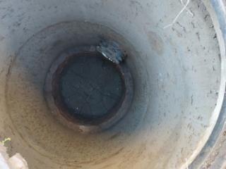 2-этажный коттедж, 184 м², 7 соток