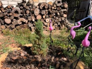 2-этажный дом, 66 м², 9 соток